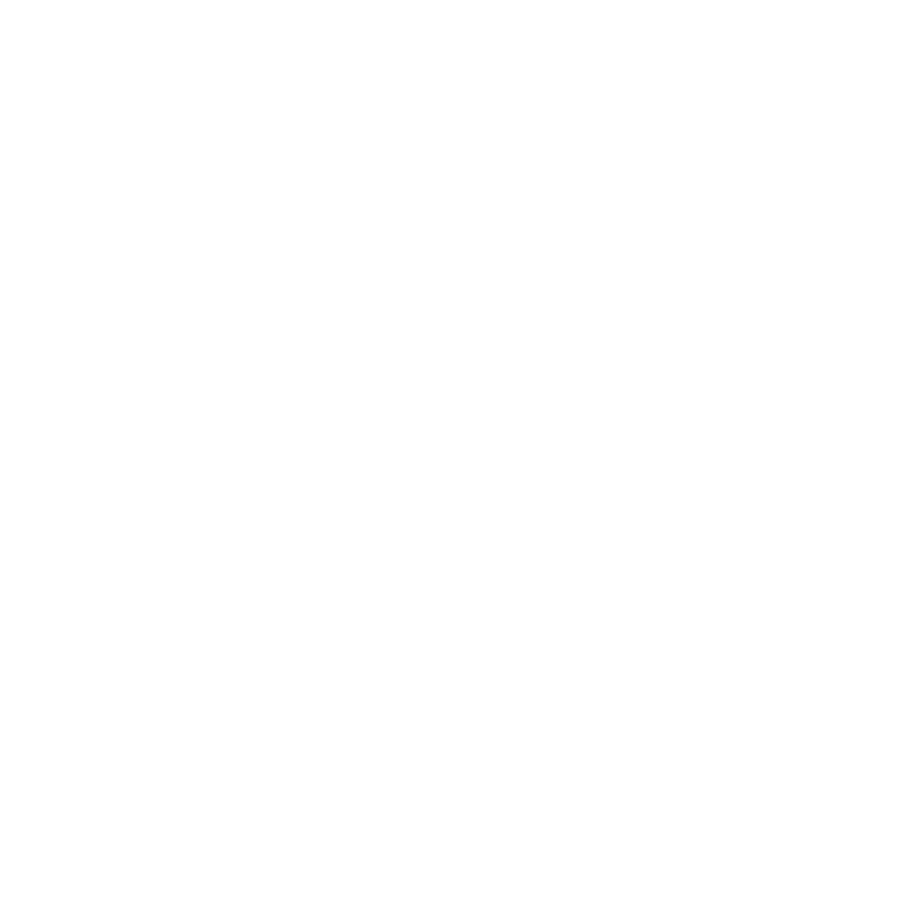 Experiencia profesional